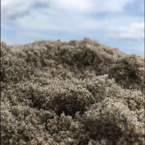 Meet your Posher, Cheyenne